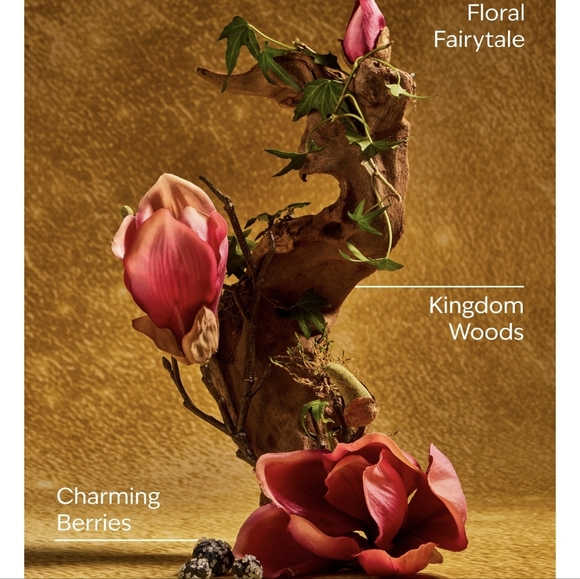 👑👗🤲NWT‼️ Bath & Body Works Disney Snow White Basket Holder with Sanitizers - Picture 10 of 16